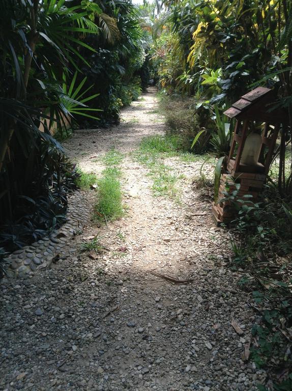 Bansuan Resort Mae Sai Luaran gambar