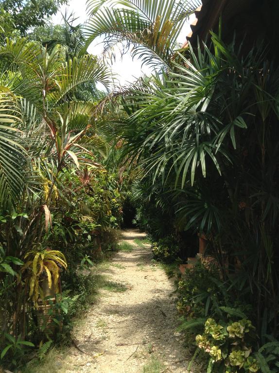 Bansuan Resort Mae Sai Luaran gambar